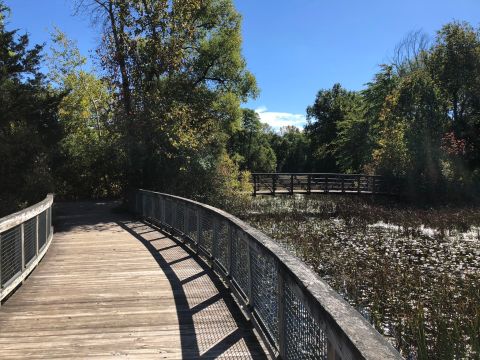 If There Are Only 5 Hikes You Ever Do Near Detroit, Make Them These