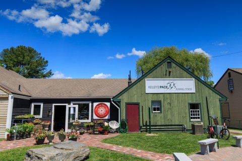 Get Lost For Hours At The Magical Plant Store, The Plant Boutique In Connecticut