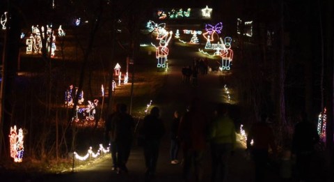 Stroll Through Christmas Lights While You Sip Wine At Walk + Wine In Cincinnati