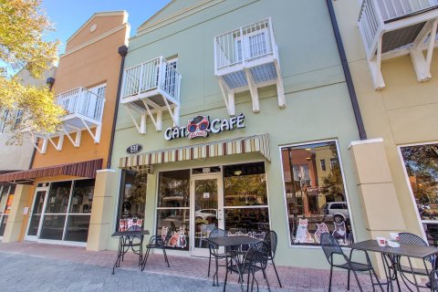 The Orlando Cat Cafe Is A Completely Cat-Themed Catopia Of A Cafe In Florida