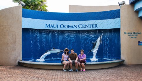 Feed Sea Turtles On A Behind-The-Scenes Tour At The Maui Ocean Center In Hawaii