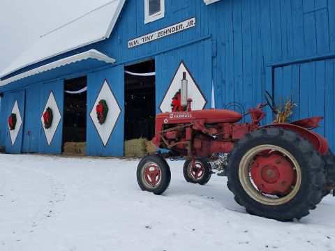 Meet Baby Reindeer, Sip Cider, And Take A Sleigh Ride At Grandpa Tiny's Farm In Michigan