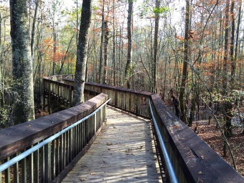 The Cabins, Trails And Outdoor Activities At Tickfaw State Park Are Ideal For A Winter Getaway