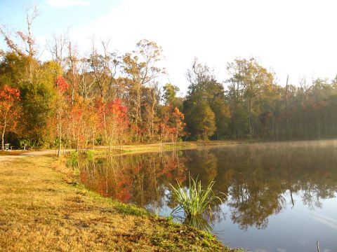 Palmetto Island State Park In Louisiana Is Ideal For A Weekend Getaway