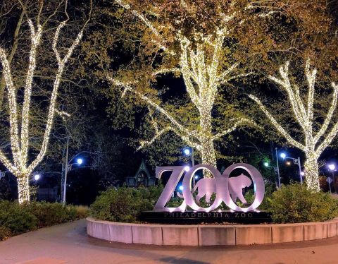 Even The Grinch Would Marvel At The LumiNature Light Display At Philadelphia Zoo In Pennsylvania