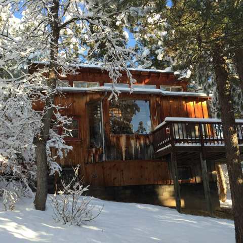 Sleep In The Middle Of The Black Hills National Forest At Coyote Ridge Lodge In South Dakota