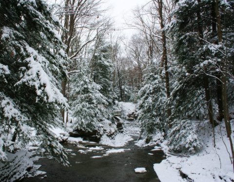 This Easy And Beautiful Hike At Bedford Reservation Should Be Added To Your Ohio Winter Bucket List This Year