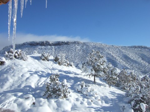 It's Impossible To Forget The Year New Mexico Saw Its Single Largest Snowfall Ever