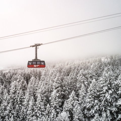 Piste Mountain Bistro Is A Beautiful Wyoming Restaurant You Can Only Get To By Gondola