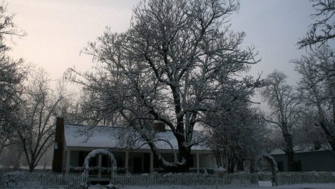 The Coziest Place For A Winter Arkansas Meal, William's Tavern Restaurant, Is Comfort Food At Its Finest