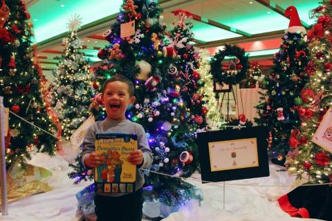 Marvel At 100 Beautiful Christmas Trees Along An Indoor Street At Festival Of Trees In New Mexico