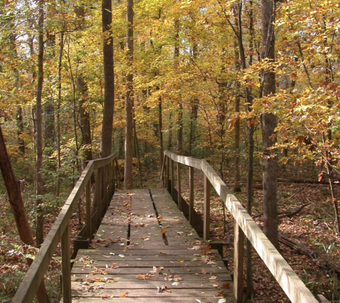 Spend Your Day At A Peaceful Oasis Begging To Be Visited At Walter B. Jacobs Park In Louisiana