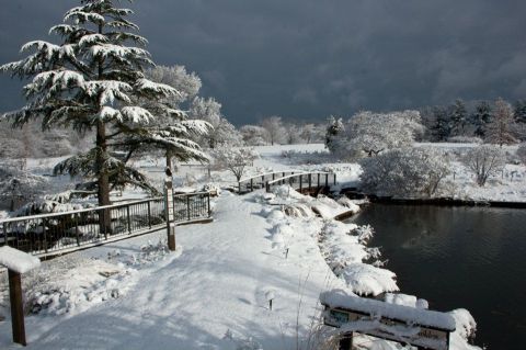 A Snowshoe Hike Across Greater Cleveland’s Own Arboretum Is A Wintertime Treat