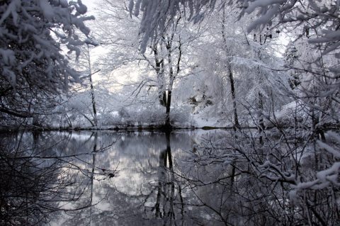 Ponkapoag Pond Trail In Massachusetts Is Beautiful All Year, Even In The Dead Of Winter