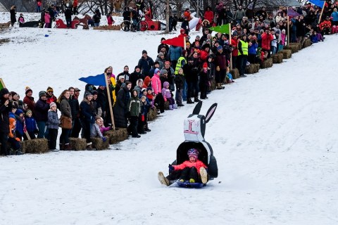 Feel The Wind In Your Hair At The Art Sled Rally, A Whimsical Outdoor Event This Winter In Minnesota