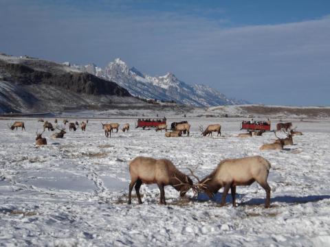 8 Ways You Can Enjoy Wyoming's Winter Resorts Without Ever Strapping Into Skis