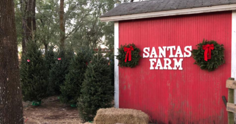 A Visit To Santa's Farm In Florida Is One Of The Best Ways To Celebrate The Holidays