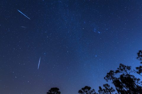 Watch Up To 100 Meteors Per Hour In The First Meteor Shower Of 2020, Visible From Rhode Island