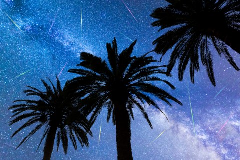 Watch Up To 100 Meteors Per Hour In The First Meteor Shower Of 2020, Visible From South Carolina