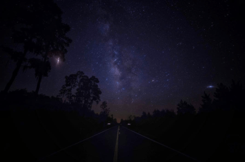 View The Bright Winter Night Sky In A Near-Pristine State At Stephen C. Foster State Park In Georgia