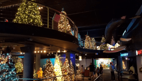 The Christmas Tree Trail In Kure Beach Is Like Walking In A North Carolina Winter Wonderland