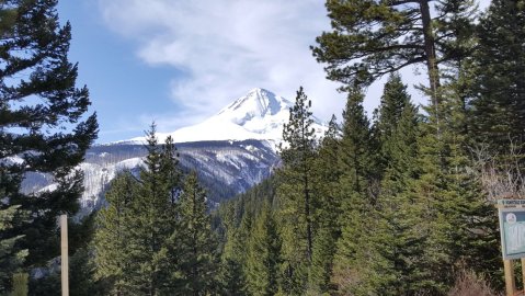 You'll Never Run Out Of Outdoorsy Things To Do At Oregon's Cooper Spur Mountain Resort