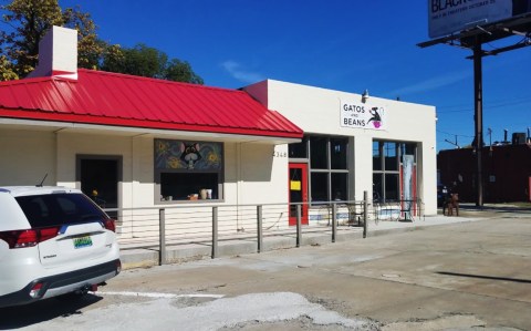 Gatos And Beans Is A Completely Cat-Themed Catopia Of A Cafe In Alabama