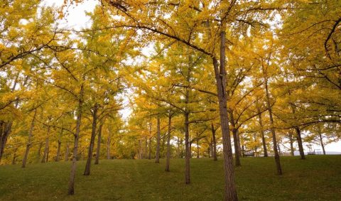 The State Arboretum Of Virginia Is A Nature Lover's Paradise Any Time Of Year