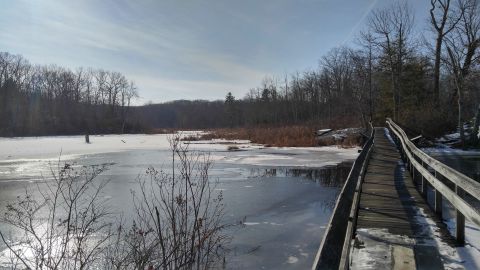 Walk Through A Peaceful Trail Of Trees On Sessions Woods Loop, An Easy Winter Hike In Connecticut