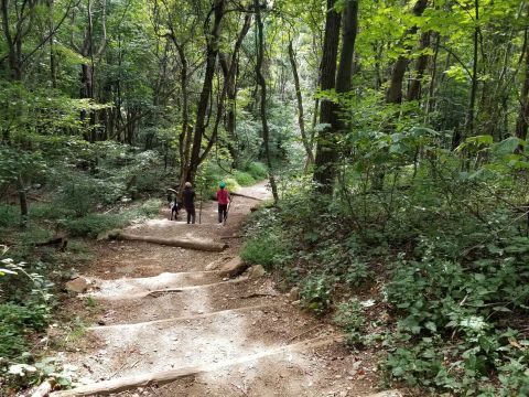 Hike A Picturesque Loop With A Cascading Waterfall At The South River Falls Trail In Shenandoah National Park, Virginia