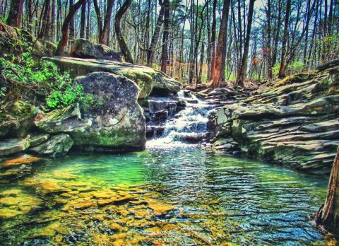 The 3-Mile Moss Rock Preserve Trail In Alabama Takes You Through An Enchanting Forest