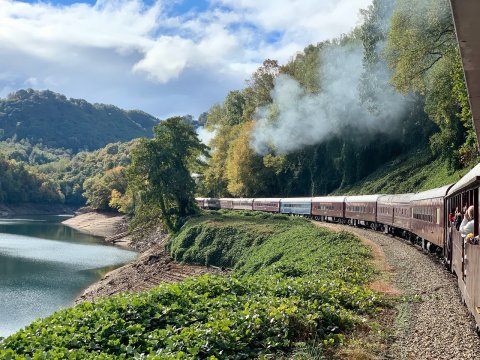 Ride The Train Into A Mountain Gorge and Zip Line All The Way Out On The Tarzan Zipline Train Adventure In North Carolina