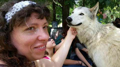 Camp With Magnificent Real Wolves At Saint Francis Wolf Sanctuary In Texas