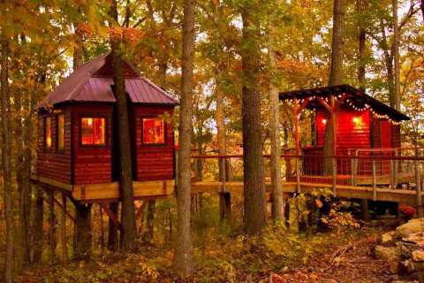 Sleep Among Towering Trees At Ozark Tree Suite In Missouri