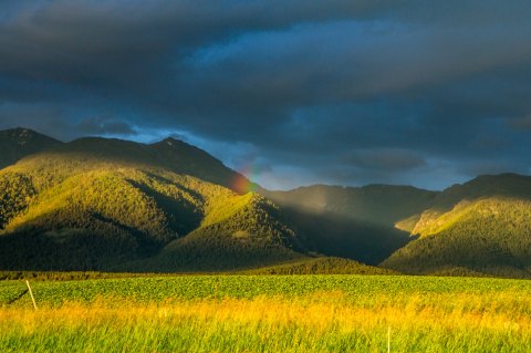 The Tiny Amish Town In Montana That's The Perfect Day Trip Destination