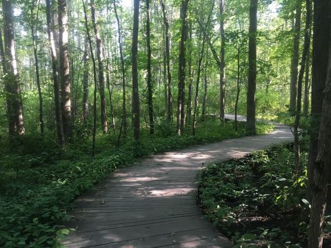 The Boardwalk Hike Near Pittsburgh That Leads To Incredibly Scenic Views