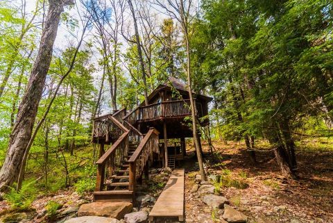 Sleep Among Towering Trees At Fernstone Treehouse In Pennsylvania