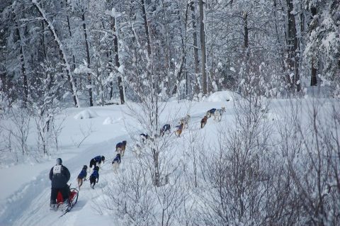 Kalkaska Winterfest In Michigan Has Delighted Visitors Of All Ages Since 1965