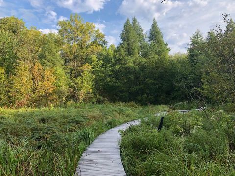 7 Cool And Calming Hikes To Take In Minnesota To Help You Reflect On The Year Ahead