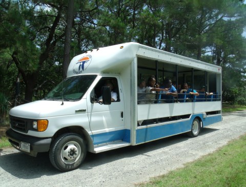 Embark On A Winter Tram Tour Of Back Bay Wildlife Refuge For An Unforgettable Virginia Adventure