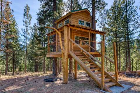 Sleep Among Ponderosa Pines At The Cozy Backcountry Treehouse In Montana