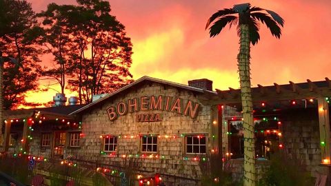 Eat Scrumptious Burgers Next To Dragons And Palm Trees At Bohemian Pizza, A Quirky Eatery In Connecticut