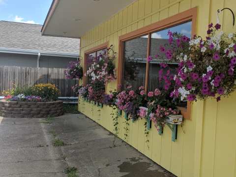 You'll Love Any Of The Homemade Meals You Can Order At The Hidden Gem Yellow Cat Cafe In Indiana