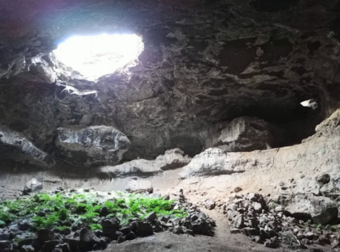 Discover A Remote Oasis Of Lush Green Ferns In Tea Kettle Cave In Idaho