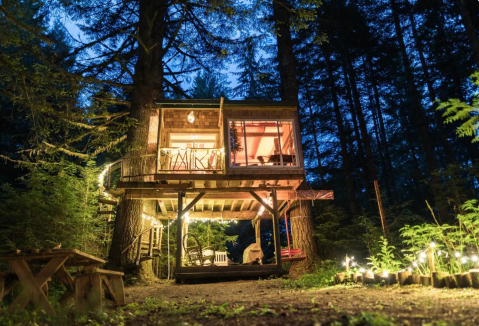 The Magical Treehouse At The Base Of Mount Hood In Oregon Lets You Glamp In Style