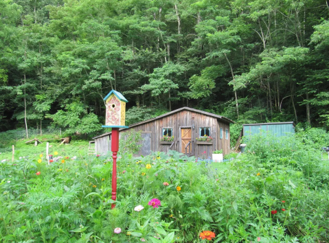 Stay In A Charming, Restored West Virginia Barn With Its Own Spring-Fed Well