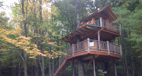 Sleep Among Towering Maple And Pine Trees At The Moose Meadow Tree House In Vermont