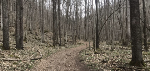 The 4-Mile Cascades Falls Trail In Virginia Is Even More Magical During The Wintertime