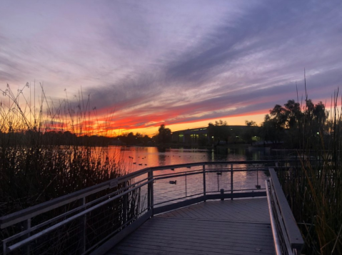 Water Ranch Trail Is A Boardwalk Hike In Arizona That Leads To Incredibly Scenic Views