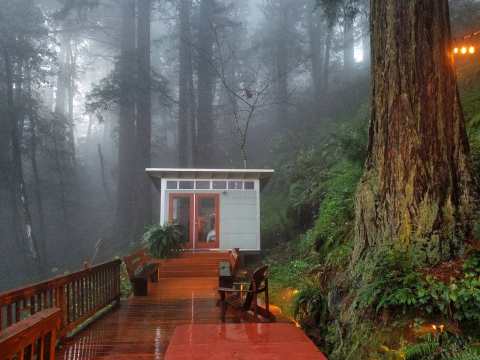 Sleep Among Towering Redwood Trees At A Romantic Studio In Northern California